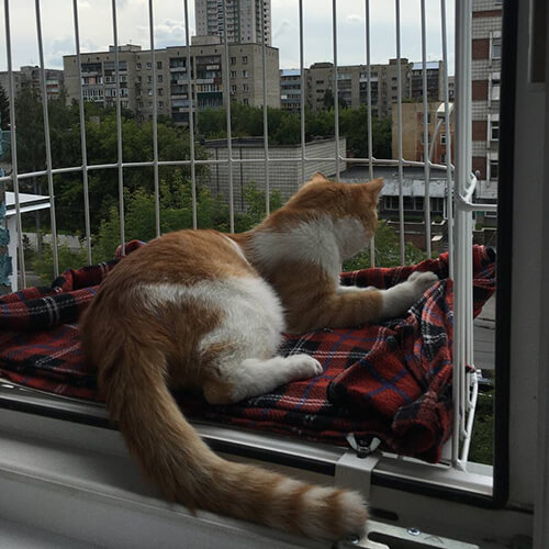 Элегантный балкон для выгула котов