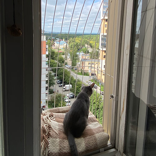 Элегантный балкон для выгула котов