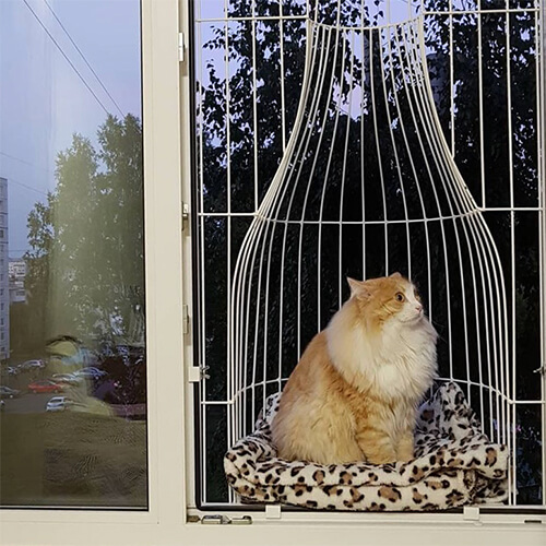 Элегантный балкон для выгула котов