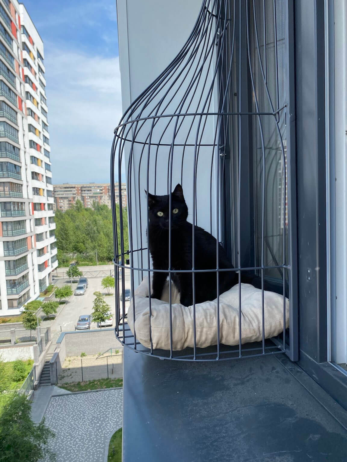 Балкон для кошек: установка сетки, выгул на окно, вольер, домик, �игровой комплекс