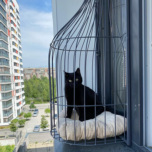 Элегантный балкон для выгула котов