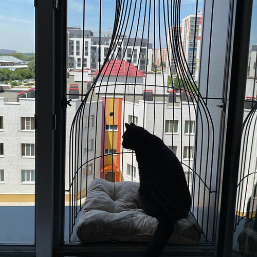 Элегантный балкон для выгула котов